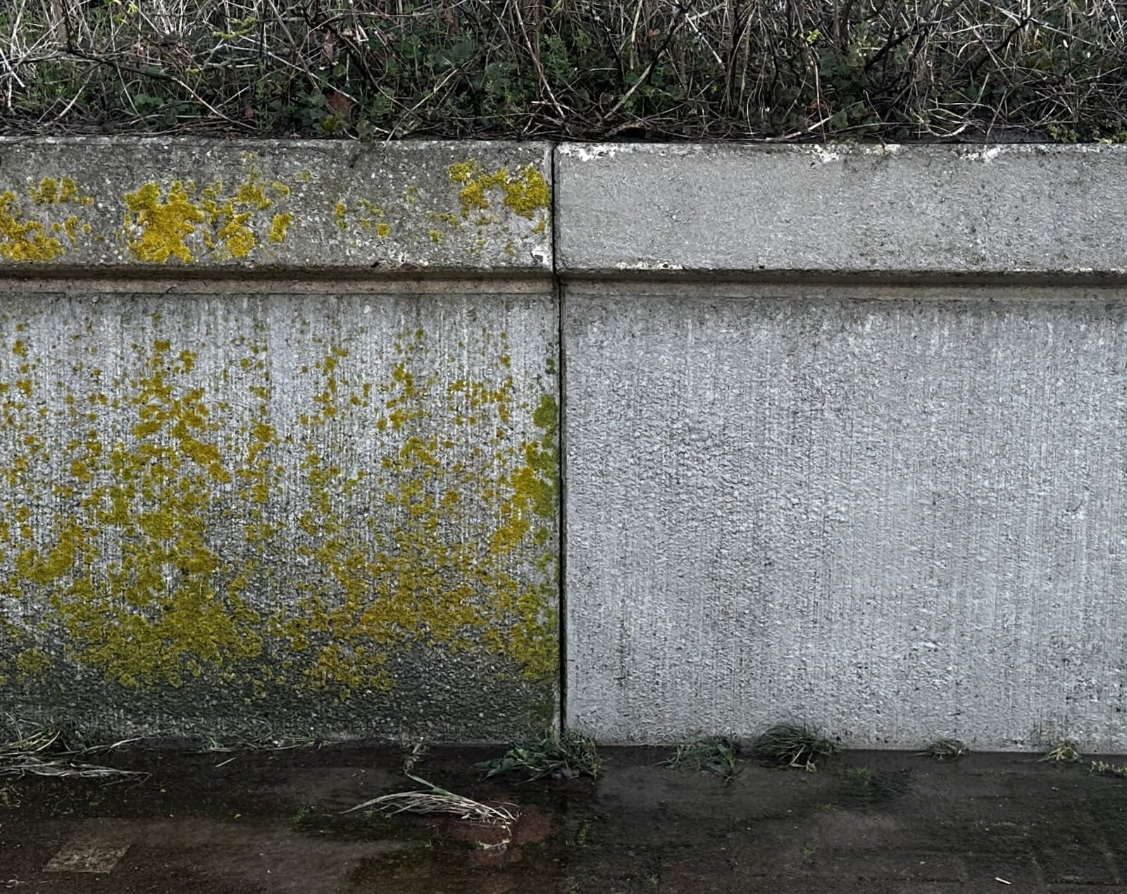 Voor en na professionele muurreiniging met hogedruk en softwash